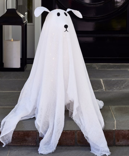 https://www.potterybarn.com/products/lit-ghost-dog/?pkeycholiday-decor-halloween&position17